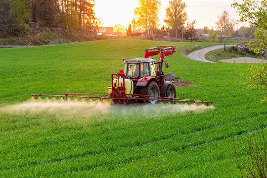 360_F_968628898_b3QquZTGQqxwtGtfphkB0wfxPaETmLkQ